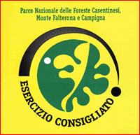 es_cons es_cons