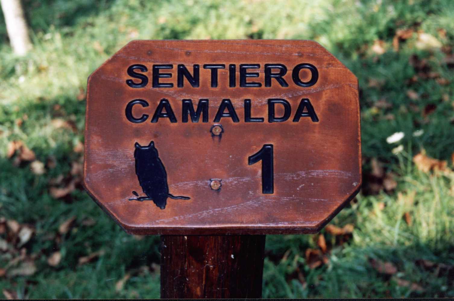 SENTIERO CAMALDA N. 1
